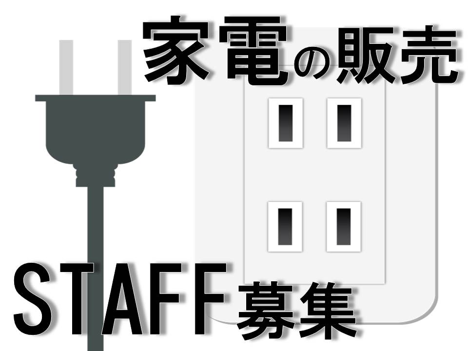 家電量販店での生活家電販売スタッフ イメージ