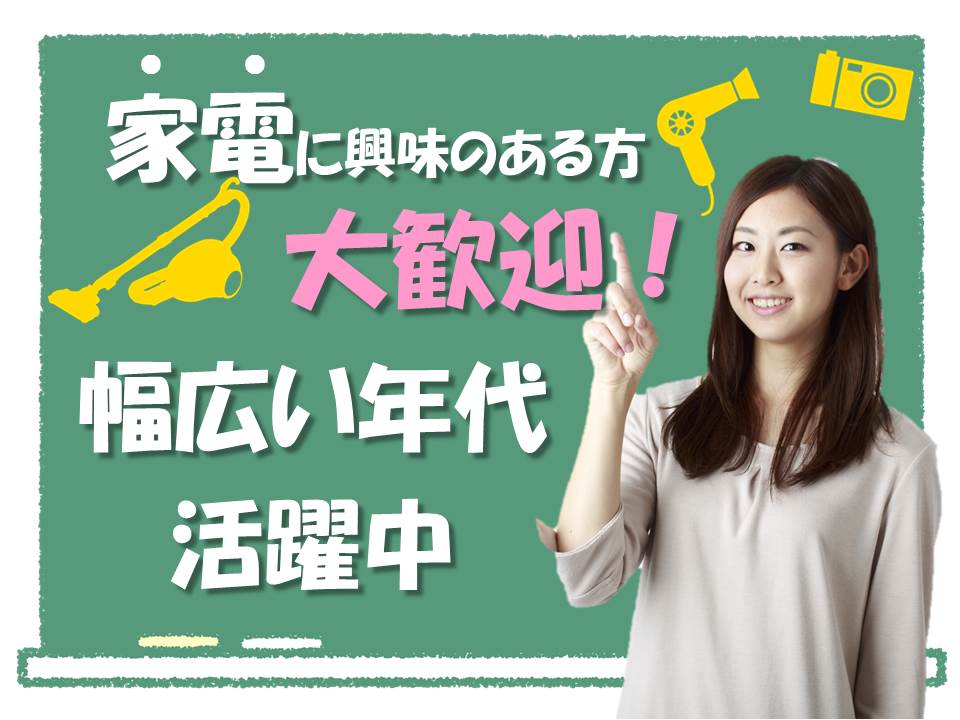 土日祝のみ家電量販店での掃除機販売スタッフ イメージ