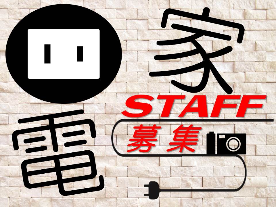 家電量販店でのデジタルカメラ販売スタッフ イメージ