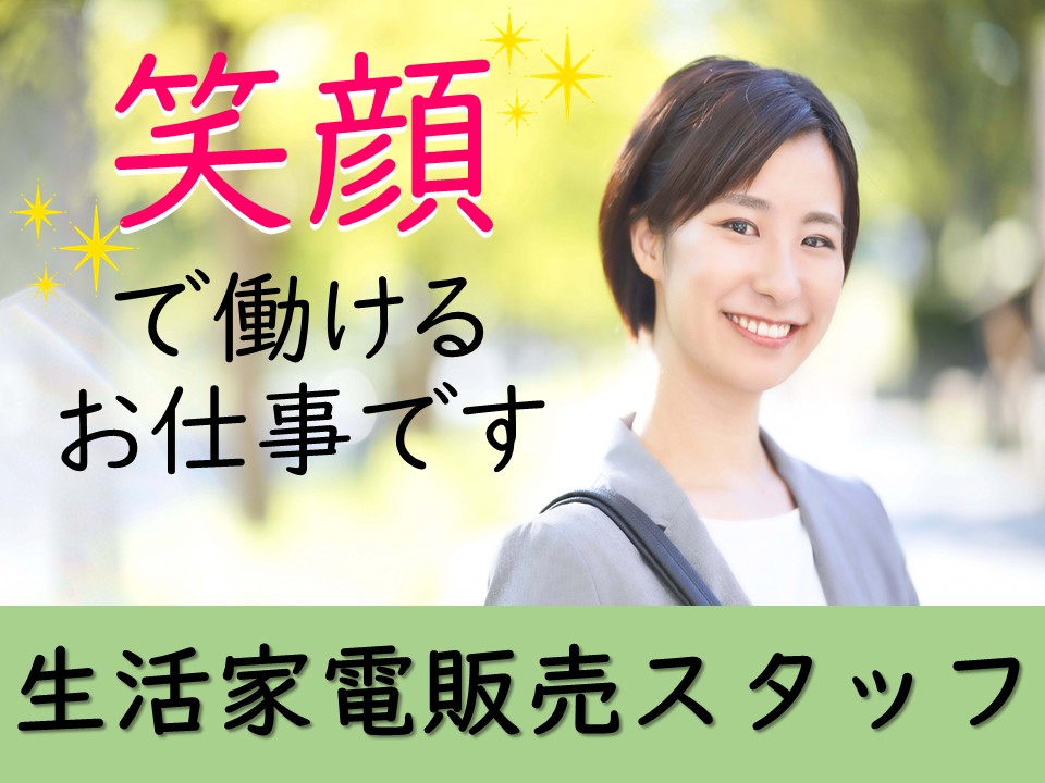 家電量販店の家電販売・ご案内スタッフ イメージ