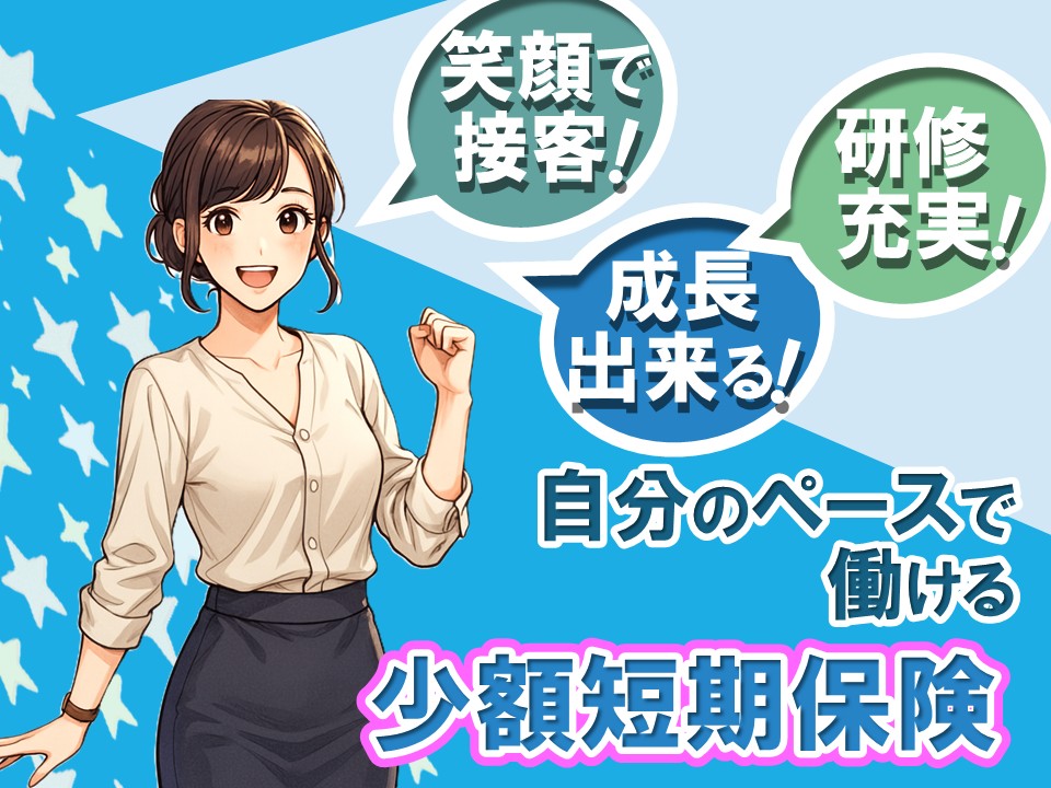 家電量販店スマホコーナー少額短期保険スタッフ イメージ