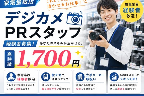 家電量販店でのデジタルカメラご案内スタッフ イメージ