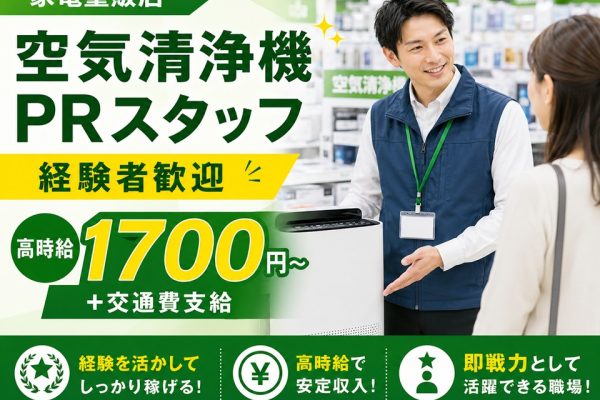 家電量販店での空気清浄機販売スタッフ イメージ